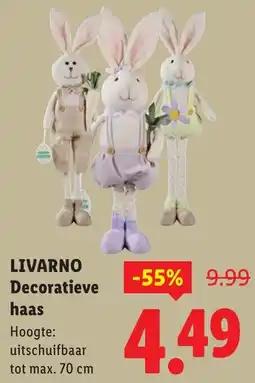 Lidl Livarno Decoratieve Haas aanbieding