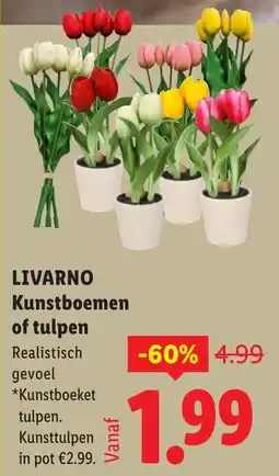 Lidl Livarno Kunstboemen of Tulpen aanbieding