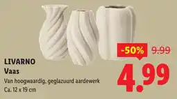 Lidl Livarno Vaas aanbieding