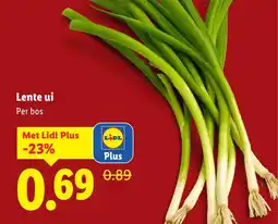 Lidl Lente ui aanbieding