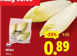 Lidl Witlof aanbieding