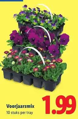 Lidl Voorjaarsmix aanbieding