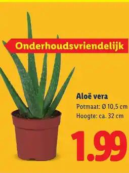 Lidl Aloë vera aanbieding