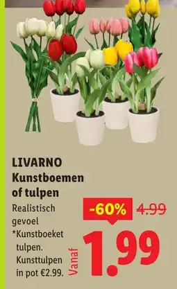 Lidl Livarno kunstboemen of tulpen aanbieding