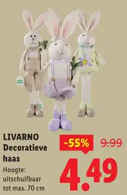 Lidl Livarno decoratieve haas aanbieding