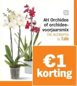 Albert Heijn AH Orchidee of Orchidee Voorjaarsmix aanbieding