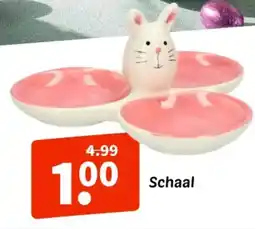 Wibra Schaal aanbieding
