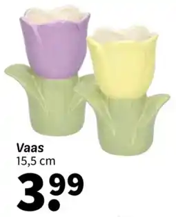 Wibra Vaas aanbieding
