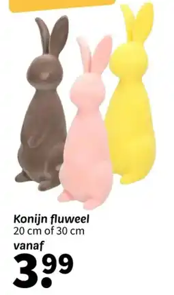 Wibra Konijn fluweel aanbieding