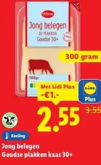 Lidl Jong belegen Goudse plakken kaas 30+ aanbieding