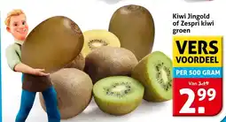 Hoogvliet Kiwi Jingold of Zespri kiwi groen aanbieding