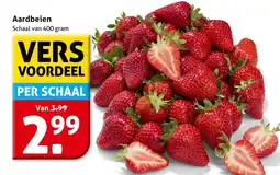 Hoogvliet Aardbeien aanbieding