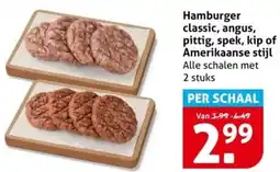 Hoogvliet Hamburger classic, angus, pittig, spek, kip of Amerikaanse stijl aanbieding