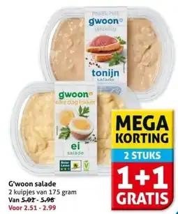 Hoogvliet G'woon salade aanbieding