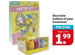 Hoogvliet Decoratie kuikens of paas knutselset aanbieding