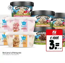 Jumbo Ben & Jerry's of Hertog mini aanbieding