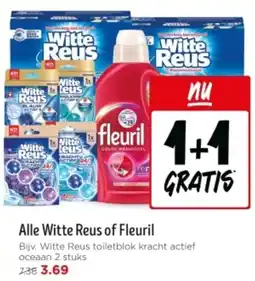 Jumbo Alle Witte Reus of Fleuril aanbieding