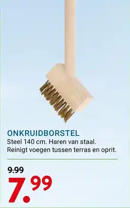 Kluswijs Onkruidborstel aanbieding