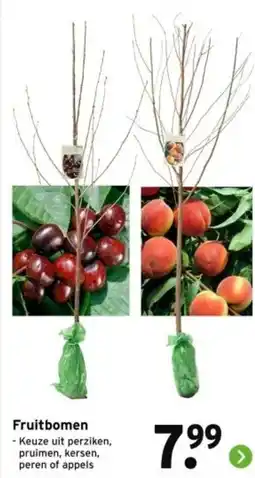 GAMMA Fruitbomen aanbieding