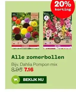 Welkoop Alle zomerbollen aanbieding
