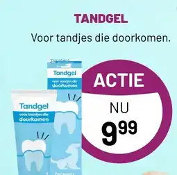 Pets & Co TANDGEL aanbieding