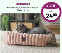 Pets & Co LIGBED REZA aanbieding