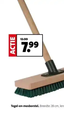 Intratuin Tegel en mosborstel aanbieding