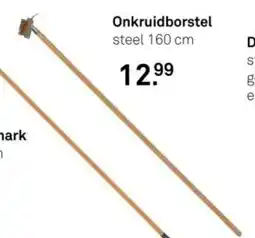 Karwei Onkruidborstel aanbieding