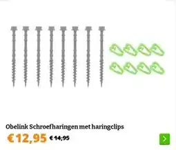Obelink Obelink Schroefharingen met haringclips aanbieding