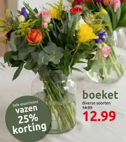 Deka Tuin Boeket aanbieding