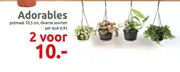 Deka Tuin Adorables aanbieding