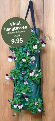 Deka Tuin Viool hangtassen aanbieding