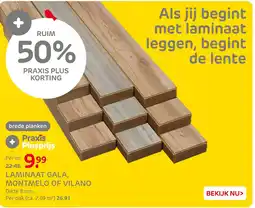 Praxis Laminaat gala, montmelo of vilano aanbieding