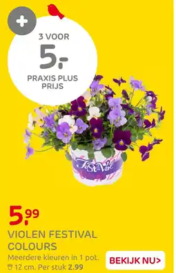 Praxis Violen festival colours aanbieding