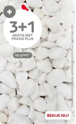 Praxis Op grind aanbieding