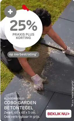 Praxis Cobo garden betontegel aanbieding