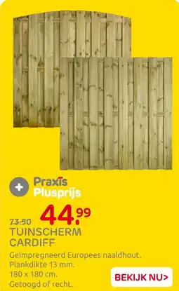 Praxis Tuinscherm cardiff aanbieding