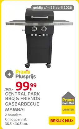 Praxis Central park bbq & friends gasbarbecue aanbieding
