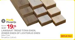 Praxis Laminaat trend titan eiken, zomer eiken of lichtgrijs eiken aanbieding