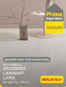 Praxis Decomode laminaat lions aanbieding