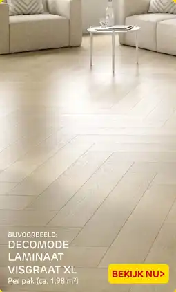 Praxis Decomode laminaat visgraat XL aanbieding