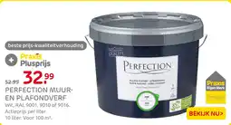 Praxis Perfection muur & plafond aanbieding