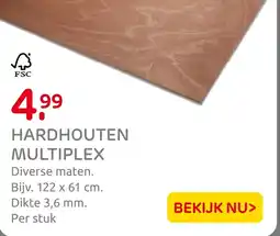 Praxis Hardhouten multiplex aanbieding