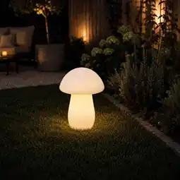 Action Paddenstoel solarlamp aanbieding