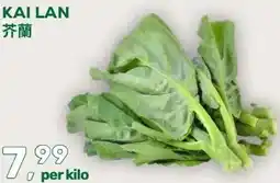 Amazing Oriëntal KAI LAN aanbieding