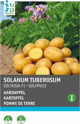 Intratuin Intratuin groentezaden Aardappel (Solanum tuberosum 'Soltasia F1') aanbieding