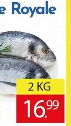 Tanger Markt Dorade Royale aanbieding