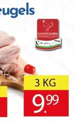 Tanger Markt Kipvleugels aanbieding