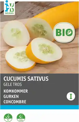 Intratuin Intratuin biologische groentezaden Komkommer (Cucumis sativus 'Gele Tros') aanbieding