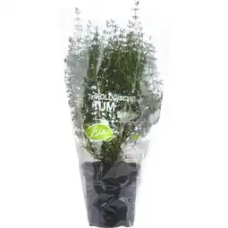Albert Heijn AH Biologisch Tijm pot aanbieding